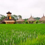 田園ビューのkarsa kafe　チャンプアンからトレッキング【Ubud】