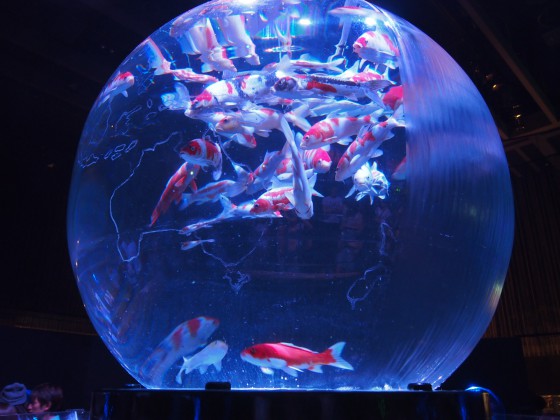 Art Aquarium 2014 Tokyo Japan