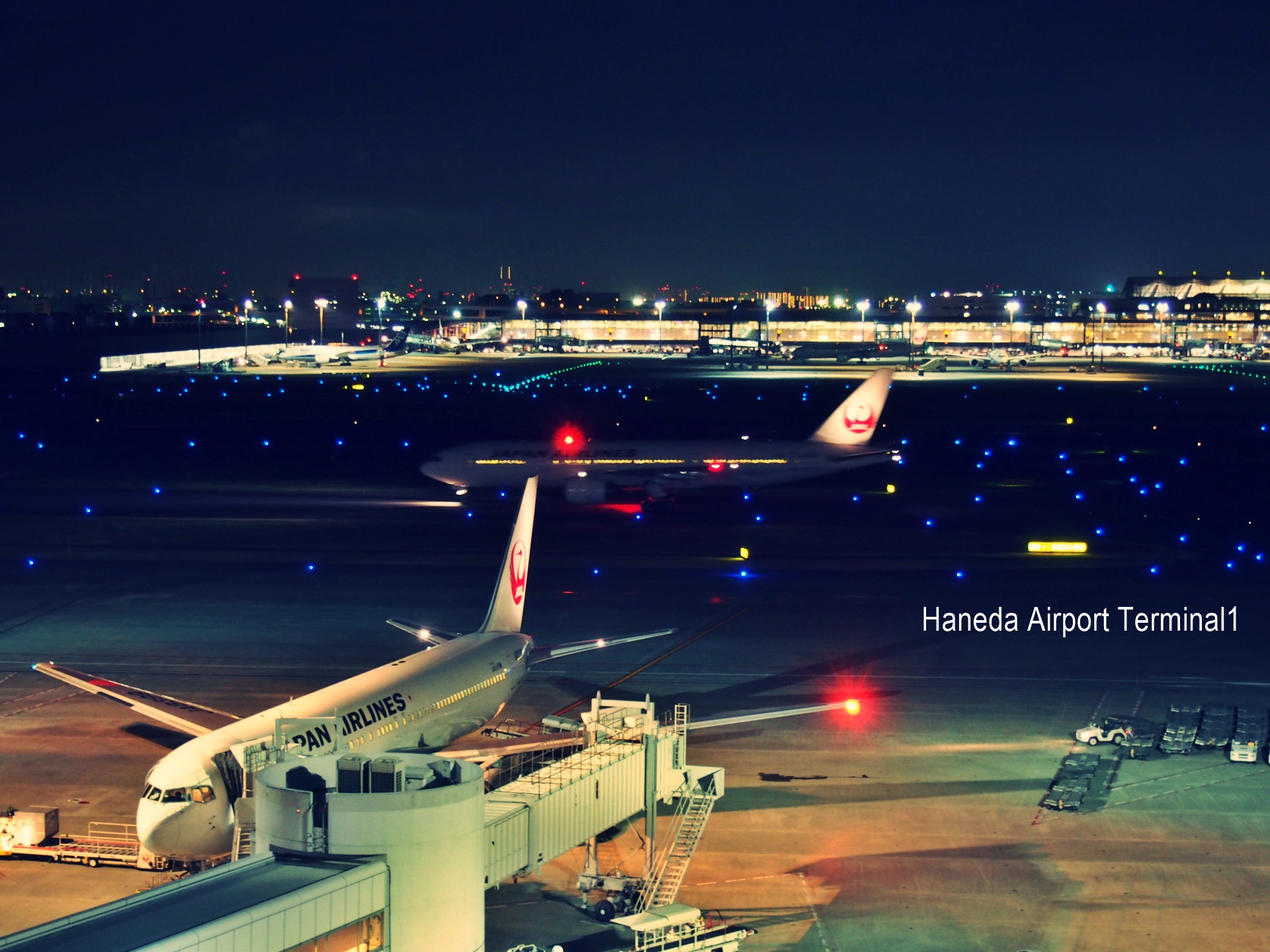 夜の展望デッキにて 羽田空港第1ターミナル Wagamama Travel