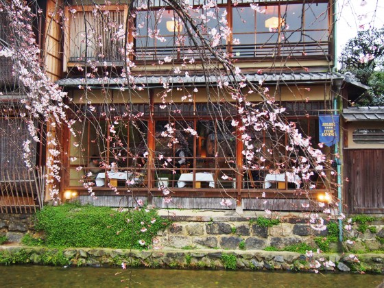 Kyoto　京都 祇園　