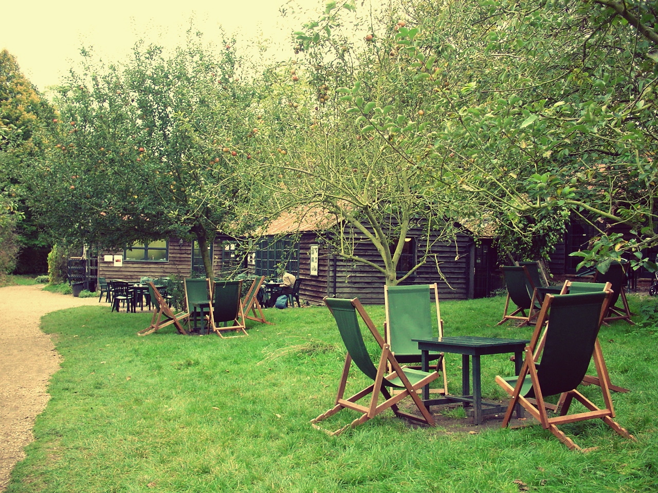 ケンブリッジの思い出 オーチャード・ティーガーデン *wagamama travel*