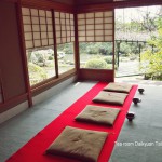 庭園鑑賞しながら抹茶と茶菓を＜京都 退蔵院＞