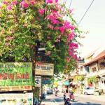 女一人旅ノススメ　バリ島ウブドの過ごし方  【Ubud, Bali】