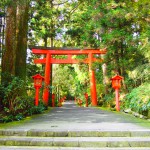 運気アップに箱根神社　