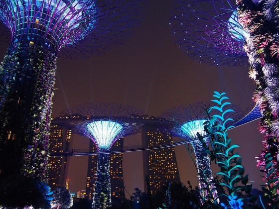 GARDENS BY THE BAY　Singapore