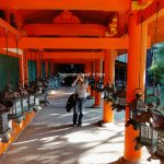 秋の奈良へ小旅行　奈良ってこんなに良い所だっけ？