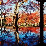 紅葉の苔庭でお茶を一服～箱根美術館の紅葉