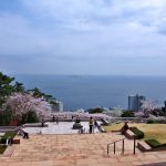 ようやく行けた、桜満開のMOA美術館