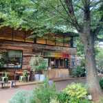 森の中にいるような緑あふれるカフェ